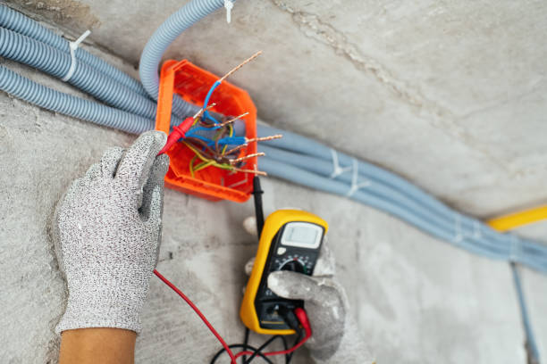 Best Local Electrician Companies  in Schler Park, IL